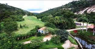 O instituto terra é fruto da iniciativa do casal lélia deluiz wanick salgado e sebastião salgado, que diante do cenário de degradação ambiental em que se encontrava a antiga fazenda de gado. Brazilian Couple Plants 2 Million Trees Creates A New Forest Our Planet
