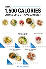What 1 500 Calories Looks Like On A Vegan Diet Nutrition Myfitnesspal In 2020