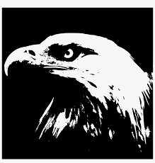 Big Image Gambar Kepala Elang Hitam Putih Png Image Transparent Png Free Download On Seekpng