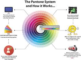 pantone color system