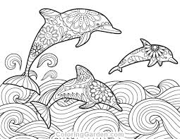 On this elephant, so many designs are drawn. Dolphin Coloring Pages Ideas Whitesbelfast Com
