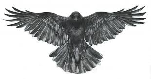 crow commission crow tattoo crow tattoo design raven tattoo