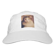 Hey You White And Grey Striped Cat Hat 24 95 By Everything With Cats Striped Cat Hats Cat Hat