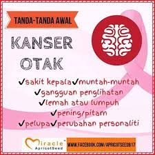 Apa itu platelet darah rendah? Ketahui Tanda Tanda Awal 10 Jenis Kanser Sayidahnapisahdotcom