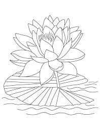 There is no doubt that coloring is one of the best ways to make kids engage in creative activities. Pin On Flower Coloring Pages