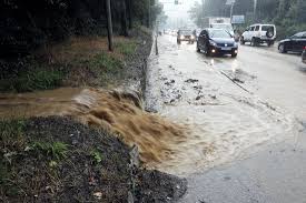 Курс валют на 14 июня. Jflbky Abcdnjm