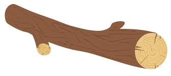 Image result for log