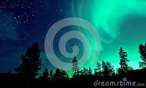 Northern Lights Aurora Borealis Over Trees Aurora Borealis Aurora Northern Lights