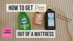 Make sure it's a dishwashing detergent, and not laundry or dish detergent because these can contain lanolin or bleach. How To Get Pee Out Of A Mattress In 5 Easy Steps Over A Million Views Youtube