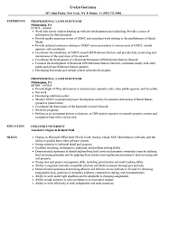 Professional Land Surveyor Resume Samples Velvet Jobs