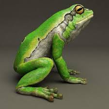 3d Model Frog Hyla Arborea In 2020 Frog Animals Frog And Toad