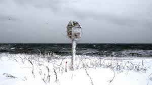 Wood neck beach yakınlarında yapılacak şeyler. Ocean And Marsh Gallery John Rosenthal