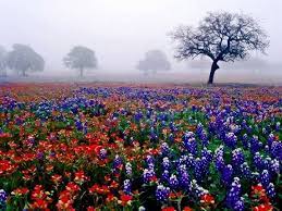 Pin Em Natural Beauty