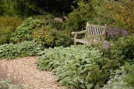 Sweeping fabric curtains (made from yardage, sheets, or other suitable material) add elegance and beauty. Ground Cover Ideas Basic Gardening Birds Blooms