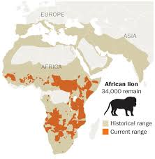 Asiatic Black Bear Range Map Historical And Present Day Lions Range Map Amazing Maps Africa Map Historical Maps