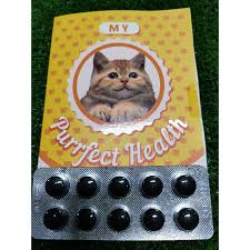 4 bakteri penyebab diare ( sakit perut). Kucing Cirit Birit Muntah Keracunan Dan Keluar Air Liur Berbuih