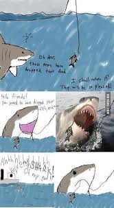 Poor Misunderstood Shark Sharks Funny Misunderstood Shark Funny Comics