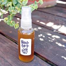 How To Make Natural Insect Repellant Popsugar Smart Living