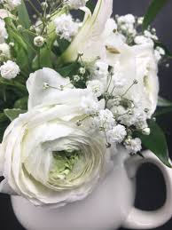 Laden sie lizenzfreie rote blumen, mohn auf weißem grund, botanische illustration, aquarellmalerei. Ein Weisser Traum Weisse Blumen Blumen Blumen Hintergrund