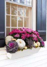 Check spelling or type a new query. Fall Window Boxes How To Cheat Them Chrissy Marie Blog