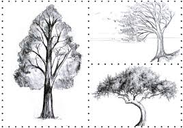 En fonction de leur niveau, différentes approches sont possibles, mais dans tous les cas, le dessin permet aux petits et aux grands de développer leur créativité et s'exprimer. 1001 Idees Pour Dessiner Un Arbre Merveilleux Avec Exemples
