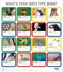 Bird Type Table The Myers Briggs Company