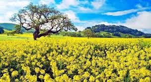 å¤§é¸ãå°ç£æ¥å¤©æç¾çå°æ¹@ èè½å¿éçè²é³:: çå®¢é¦::