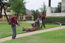 How much does lawn mowing near me cost? Lawn Care Services Near Me In Otay Mesa West