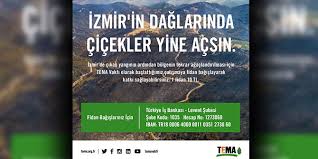 See more of tema vakfı on facebook. Tema Vakfi Ndan Izmir Icin Fidan Bagisi Cagrisi