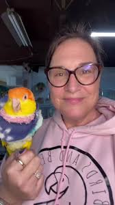 How we effectively use collars for a bird to stop self mutilation. #caique  #parrotrescue #selfmutilation