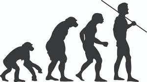 A Beginners Guide To The Caveman Diet Ultimate Paleo Guide