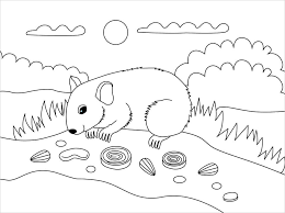 Veja mais ideias sobre desenhos, pontilhismo, desenhos para colorir adultos. Desenhos De Hamster Selvagem 2 Para Colorir E Imprimir Colorironline Com