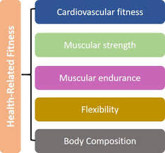 What Do We Mean By Physical Fitness Your Guide To Living