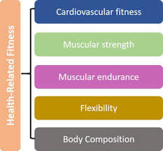 what do we mean by physical fitness your guide to living