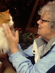 Obituary of Lynda Mae Sheffield