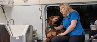 Aussie pet mobile is a quality pet grooming service that offers an exceptional full service grooming experience for your pets in a stress free environment in full comfort and safety right in your driveway. Aussie Pet Mobile The Leader In Mobile Pet Grooming