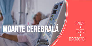 Moarte Cerebrală Medic Chat