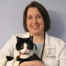 Veterinary Information Network®, Inc.