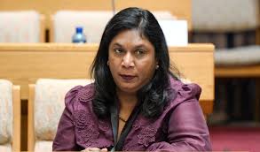 Andrea Johnson in Madlanga hot seat