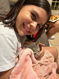 Brown dog sleeping in the field