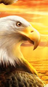 Here are only the best eagle wallpapers. Bald Eagle Wallpaper Backgrounds Eagle Wallpaper Awesome Angry Eagle Wallpaper Eagle Wallpaper Eagle Painting Bald Eagle