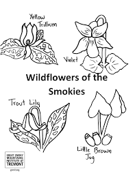Download or print easily the design of your choice with a single click. Tremont Institute Coloring Pages Tremont Institute