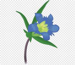 Check spelling or type a new query. Texas Bluebell Drawing Sw Plant Stem Flower Iris Png Pngwing