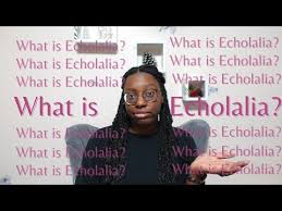 Image result for Echophenomena