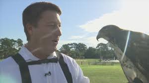 Try This Chris Falconer