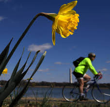 Astronomisch beginnt der frühling gegenwärtig am 20. Fruhling 2020 Meteorologisch Kalendarisch Wo Ist Der Unterschied Welt