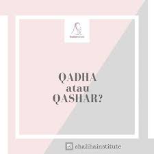 We did not find results for: Qashar Instagram Posts Photos And Videos Picuki Com