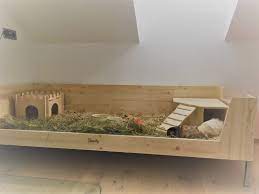 Eine bodenfläche von 3 m² sollte niemals unterschritten werden. Meerschweinchen Gehege Holz Vom Schreiner Gebaut 180x80x35 Eur 180 00 4 Wochen Altes Gehege Zu V Meerschweinchen Meerschweinchen Gehege Meerschweinchenstall