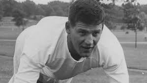 STARK HS ICONS: Vince Costello's journey to the NFL started in Magnolia