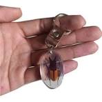 Insect resin - Etsy México